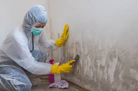 Best Biohazard Mold Removal  in Juno Beach, FL